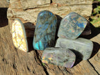 Polished Rare Purple Sunset Flash Labradorite Standing Display Pieces x 5 From Madagascar - Toprock Gemstones and Minerals 