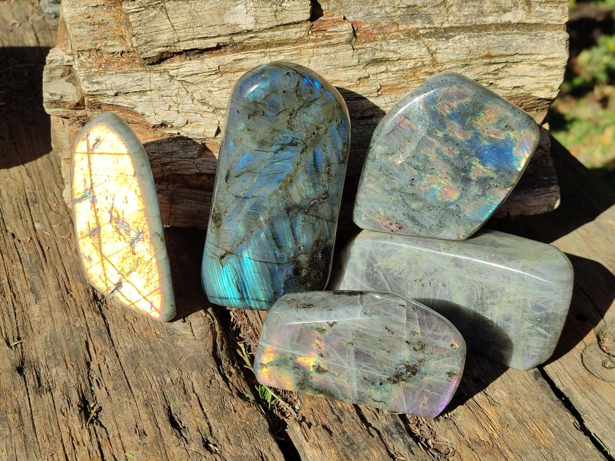 Polished Rare Purple Sunset Flash Labradorite Standing Display Pieces x 5 From Madagascar - Toprock Gemstones and Minerals 