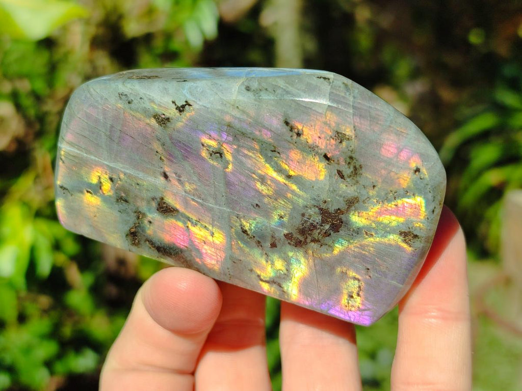 Polished Rare Purple Sunset Flash Labradorite Standing Display Pieces x 5 From Madagascar - Toprock Gemstones and Minerals 