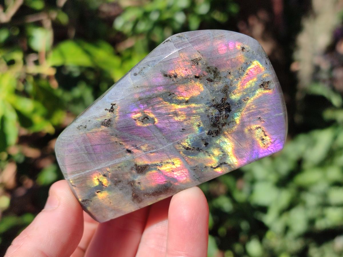 Polished Rare Purple Sunset Flash Labradorite Standing Display Pieces x 5 From Madagascar - Toprock Gemstones and Minerals 