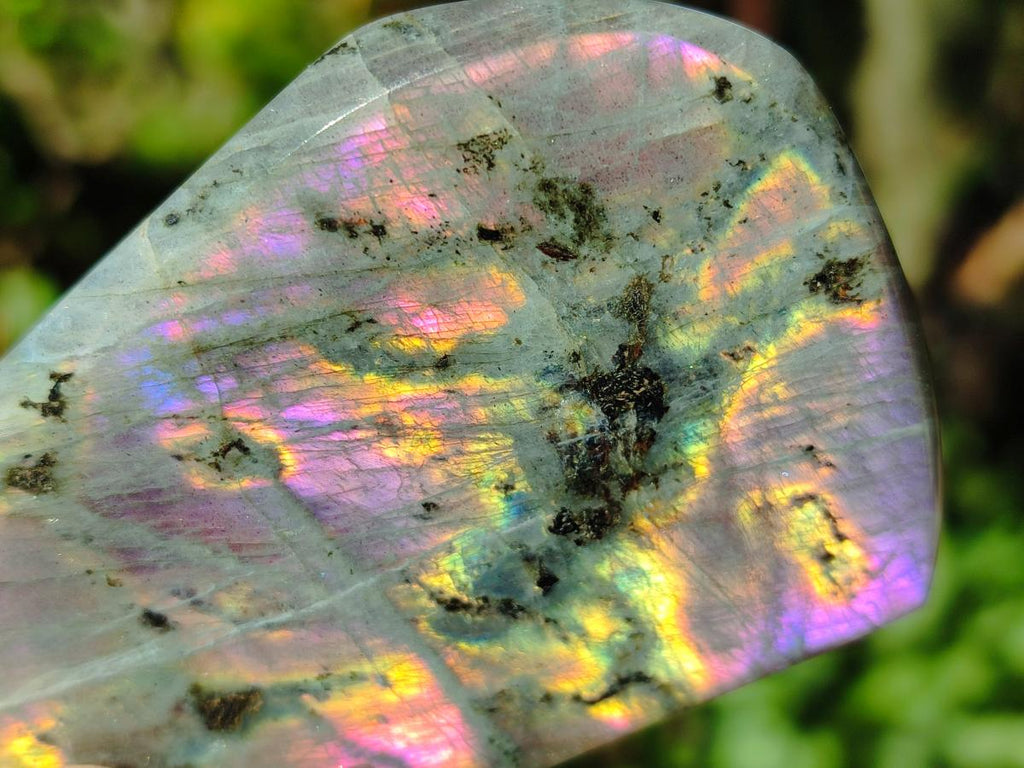 Polished Rare Purple Sunset Flash Labradorite Standing Display Pieces x 5 From Madagascar - Toprock Gemstones and Minerals 