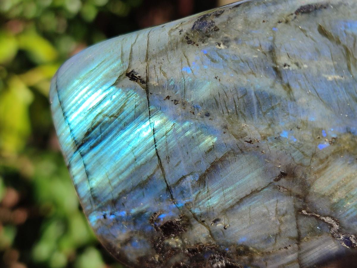 Polished Rare Purple Sunset Flash Labradorite Standing Display Pieces x 5 From Madagascar - Toprock Gemstones and Minerals 