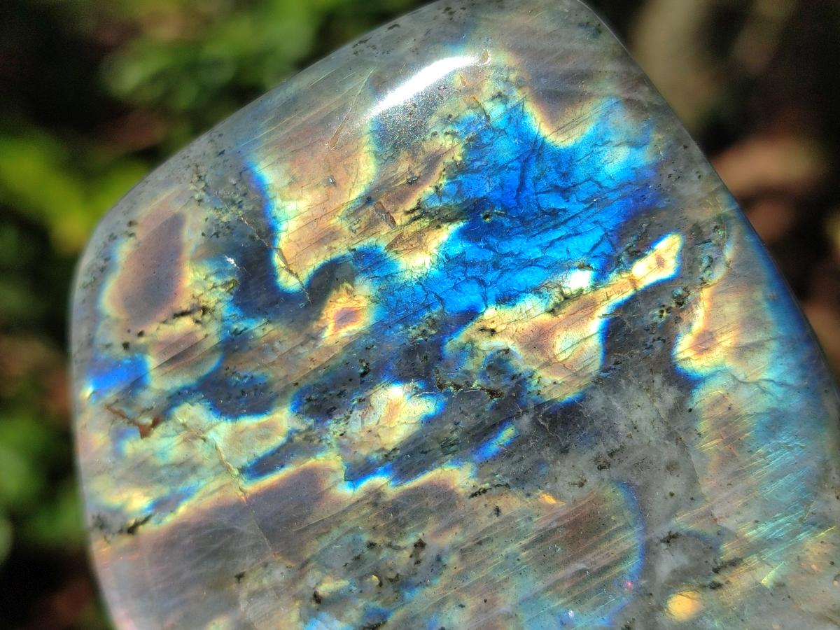 Polished Rare Purple Sunset Flash Labradorite Standing Display Pieces x 5 From Madagascar - Toprock Gemstones and Minerals 