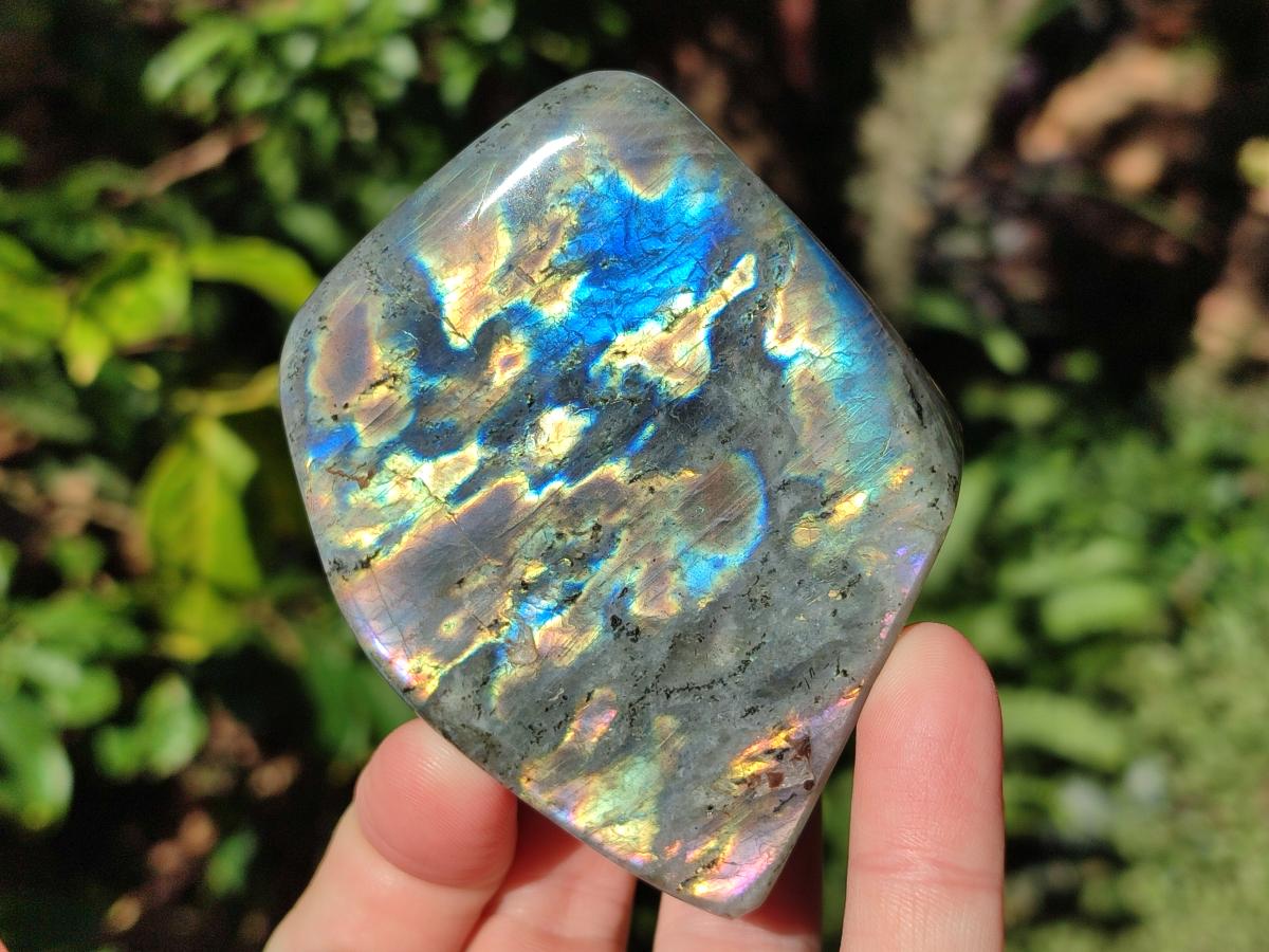 Polished Rare Purple Sunset Flash Labradorite Standing Display Pieces x 5 From Madagascar - Toprock Gemstones and Minerals 