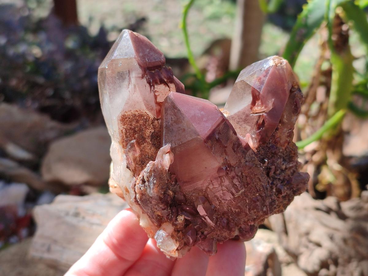 Natural Red Hematoid Quartz Crystals and Clusters x 6 From Karoi, Zimbabwe - Toprock Gemstones and Minerals 