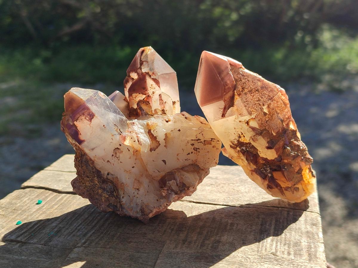 Natural Red Hematoid Quartz Crystals and Clusters x 6 From Karoi, Zimbabwe - Toprock Gemstones and Minerals 