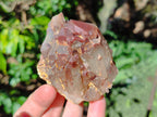Natural Red Hematoid Quartz Crystals and Clusters x 6 From Karoi, Zimbabwe - Toprock Gemstones and Minerals 