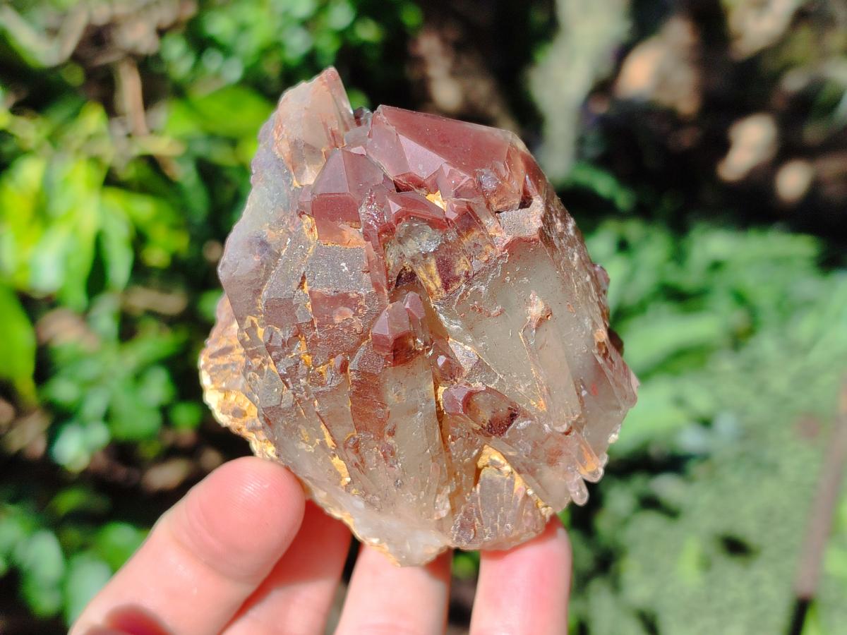 Natural Red Hematoid Quartz Crystals and Clusters x 6 From Karoi, Zimbabwe - Toprock Gemstones and Minerals 