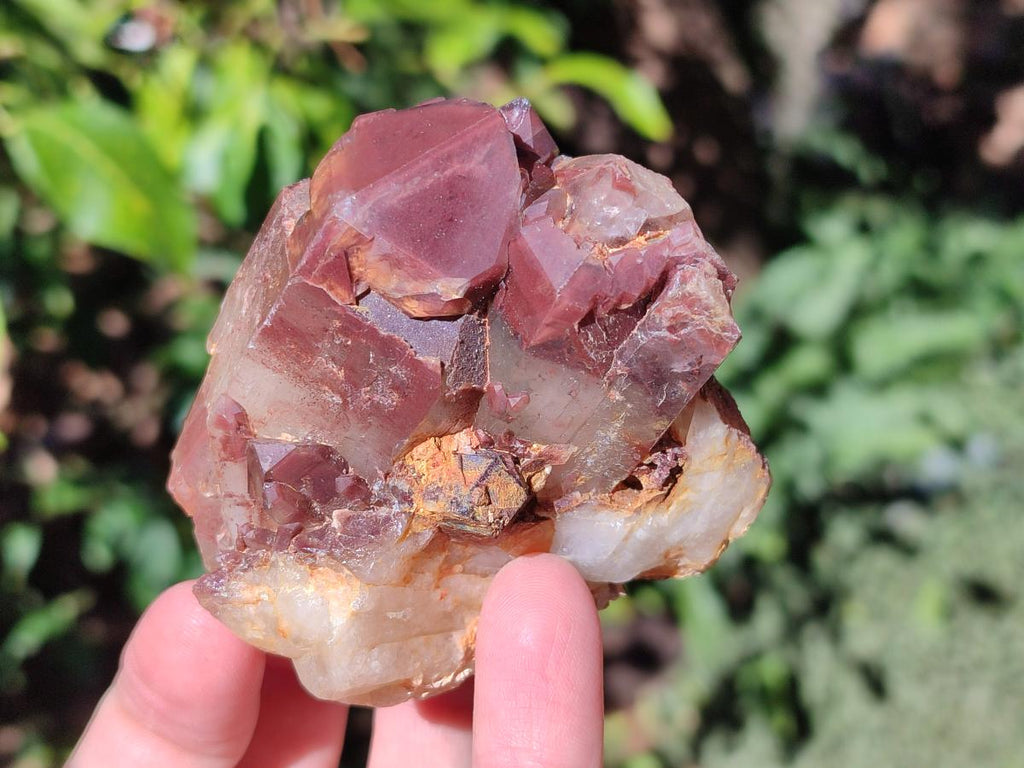 Natural Red Hematoid Quartz Crystals and Clusters x 6 From Karoi, Zimbabwe - Toprock Gemstones and Minerals 