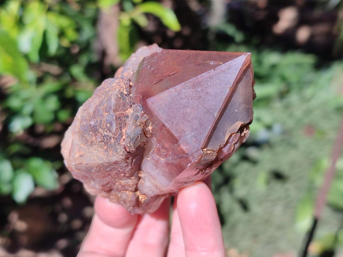 Natural Red Hematoid Quartz Crystals and Clusters x 6 From Karoi, Zimbabwe - Toprock Gemstones and Minerals 