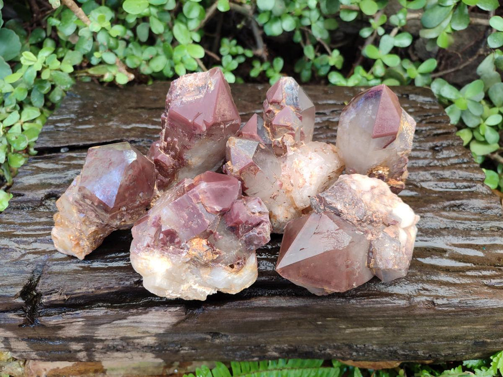 Natural Red Hematoid Quartz Crystals and Clusters x 6 From Karoi, Zimbabwe - Toprock Gemstones and Minerals 