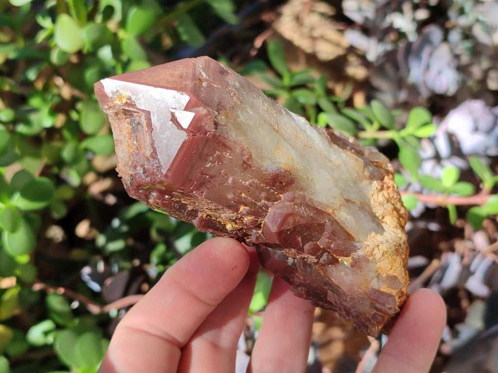 Natural Red Hematoid Quartz Crystals and Clusters x 6 From Karoi, Zimbabwe - Toprock Gemstones and Minerals 