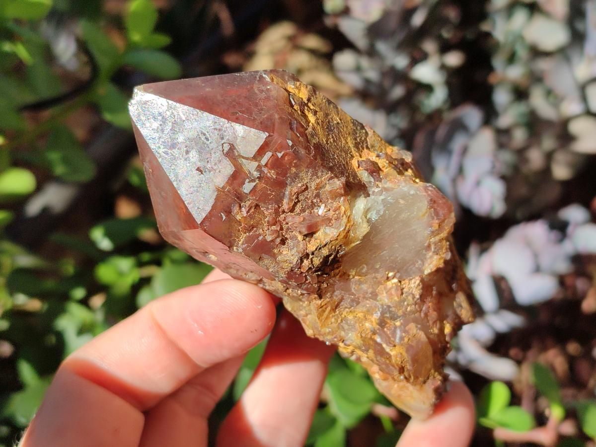 Natural Red Hematoid Quartz Crystals and Clusters x 6 From Karoi, Zimbabwe - Toprock Gemstones and Minerals 