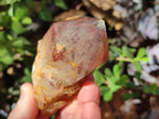 Natural Red Hematoid Quartz Crystals and Clusters x 6 From Karoi, Zimbabwe - Toprock Gemstones and Minerals 
