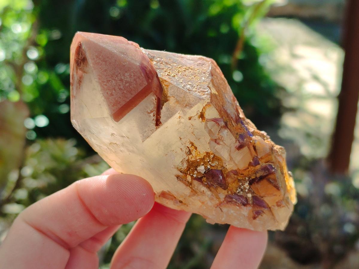 Natural Red Hematoid Quartz Crystals and Clusters x 6 From Karoi, Zimbabwe - Toprock Gemstones and Minerals 