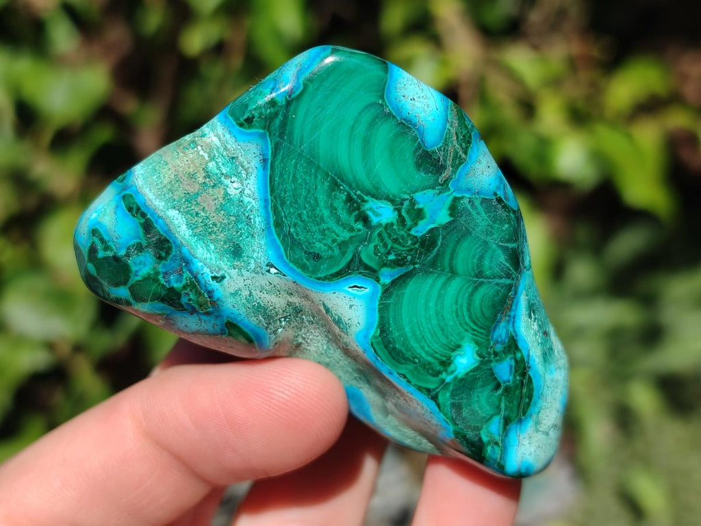 Polished Malacolla Free Forms x 12 From Kulukuluku, Congo - Toprock Gemstones and Minerals 