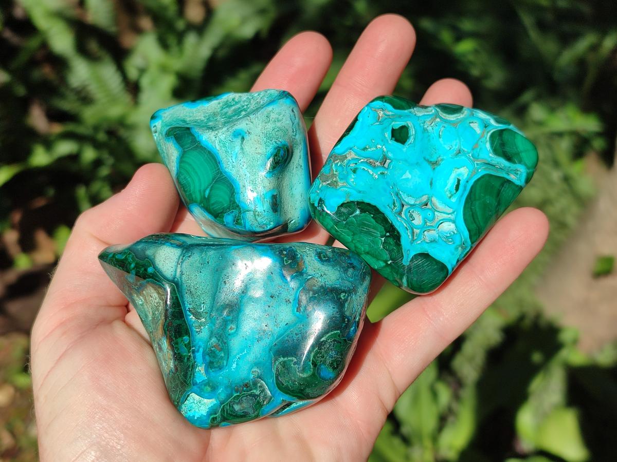 Polished Malacolla Free Forms x 12 From Kulukuluku, Congo - Toprock Gemstones and Minerals 