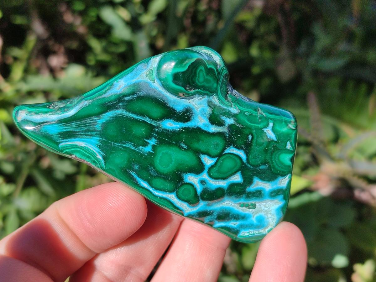 Polished Malacolla Free Forms x 12 From Kulukuluku, Congo - Toprock Gemstones and Minerals 