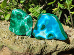 Polished Malacolla Free Forms x 12 From Kulukuluku, Congo - Toprock Gemstones and Minerals 