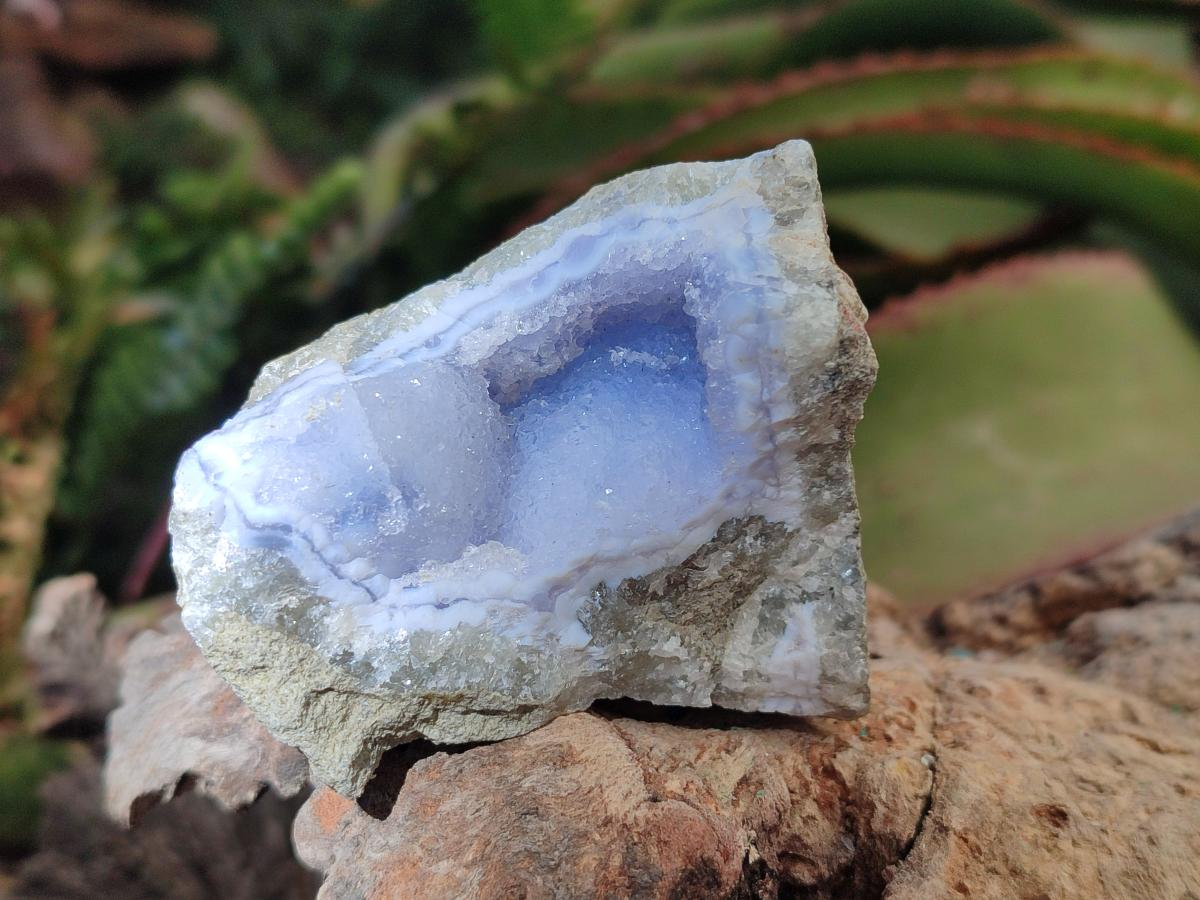 Natural Blue Lace Agate Geode Specimens x 12 From Nsanje, Malawi - Toprock Gemstones and Minerals 