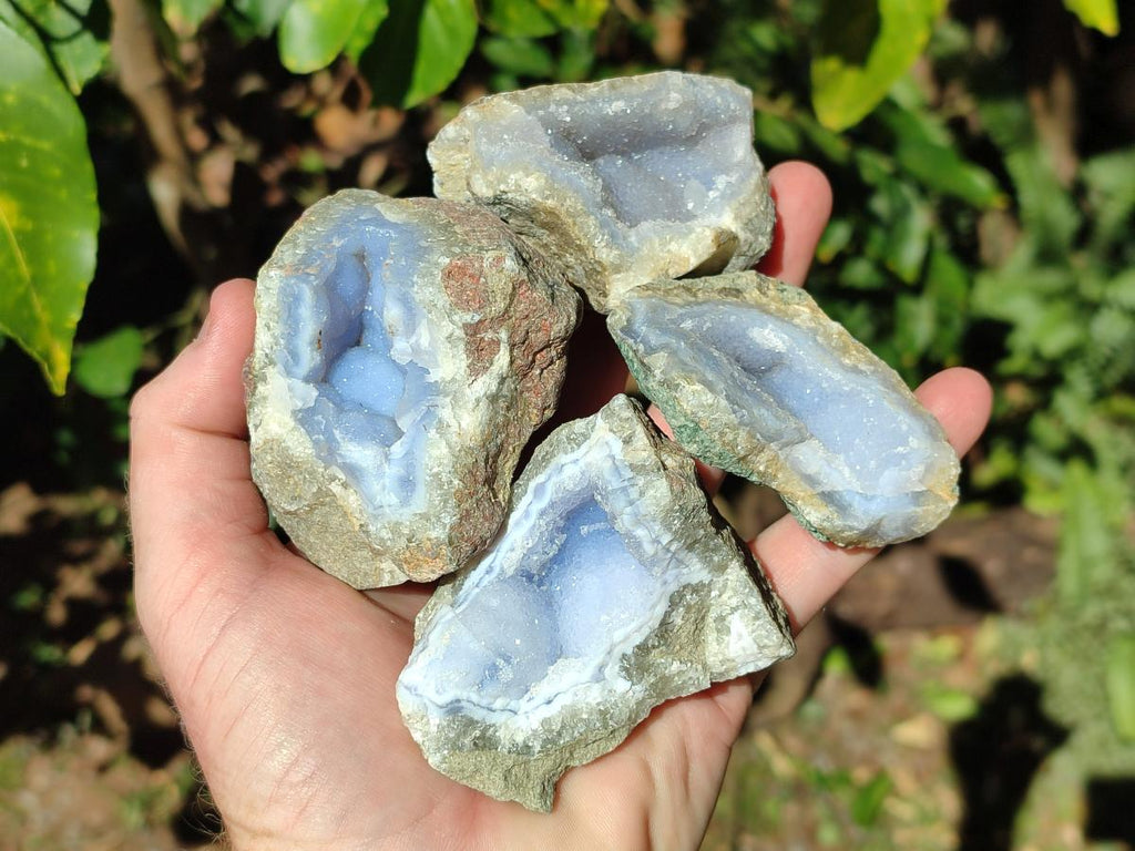 Natural Blue Lace Agate Geode Specimens x 12 From Nsanje, Malawi - Toprock Gemstones and Minerals 