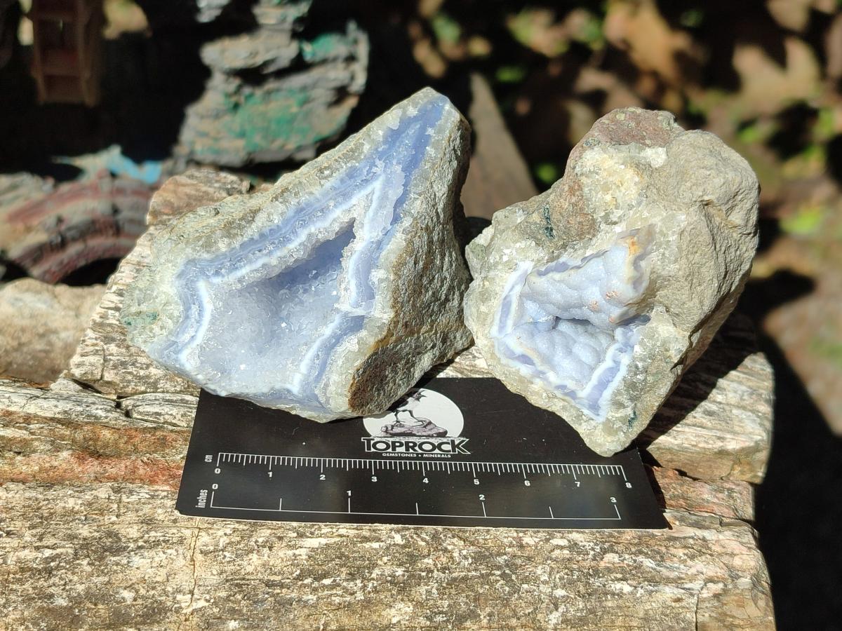 Natural Blue Lace Agate Geode Specimens x 12 From Nsanje, Malawi - Toprock Gemstones and Minerals 
