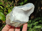 Natural Blue Lace Agate Geode Specimens x 12 From Nsanje, Malawi - Toprock Gemstones and Minerals 