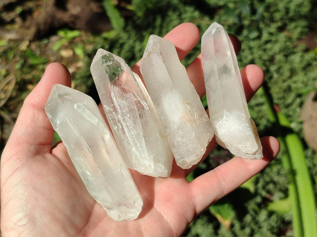 Natural Clear Quartz Single Crystals x 39 From Madagascar - Toprock Gemstones and Minerals 
