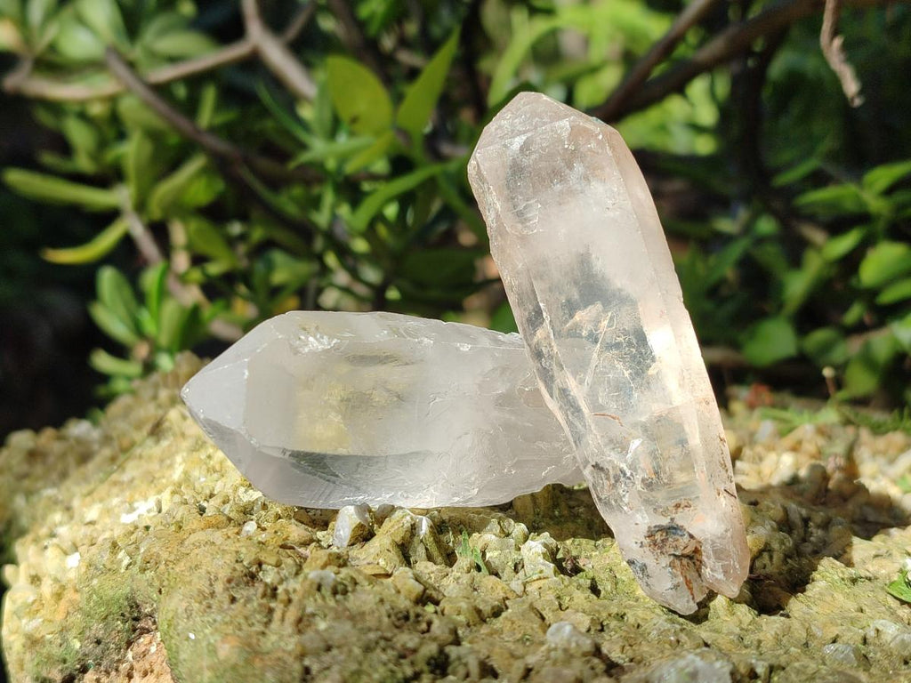 Natural Clear Quartz Single Crystals x 39 From Madagascar - Toprock Gemstones and Minerals 