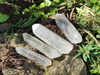 Natural Clear Quartz Single Crystals x 39 From Madagascar - Toprock Gemstones and Minerals 