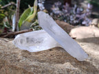 Natural Clear Quartz Single Crystals x 39 From Madagascar - Toprock Gemstones and Minerals 