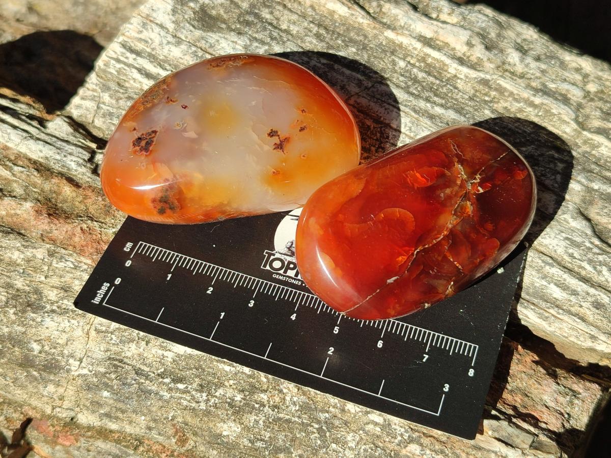 Polished Carnelian Agate Gemstone Galets x 24 From Madagascar - Toprock Gemstones and Minerals 