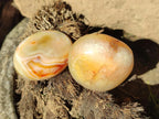Polished Carnelian Agate Gemstone Galets x 24 From Madagascar - Toprock Gemstones and Minerals 