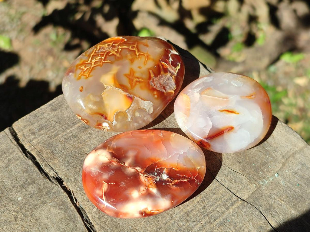Polished Carnelian Agate Gemstone Galets x 24 From Madagascar - Toprock Gemstones and Minerals 