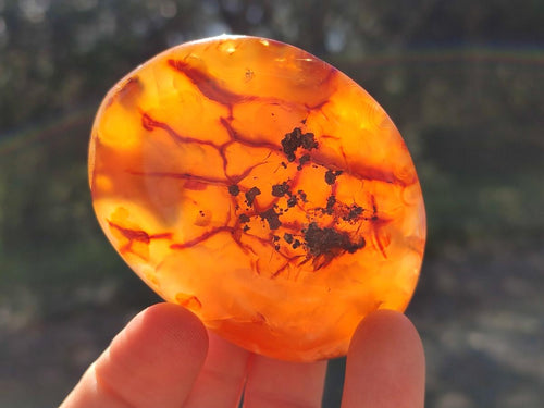 Polished Carnelian Agate Gemstone Galets x 24 From Madagascar - Toprock Gemstones and Minerals 
