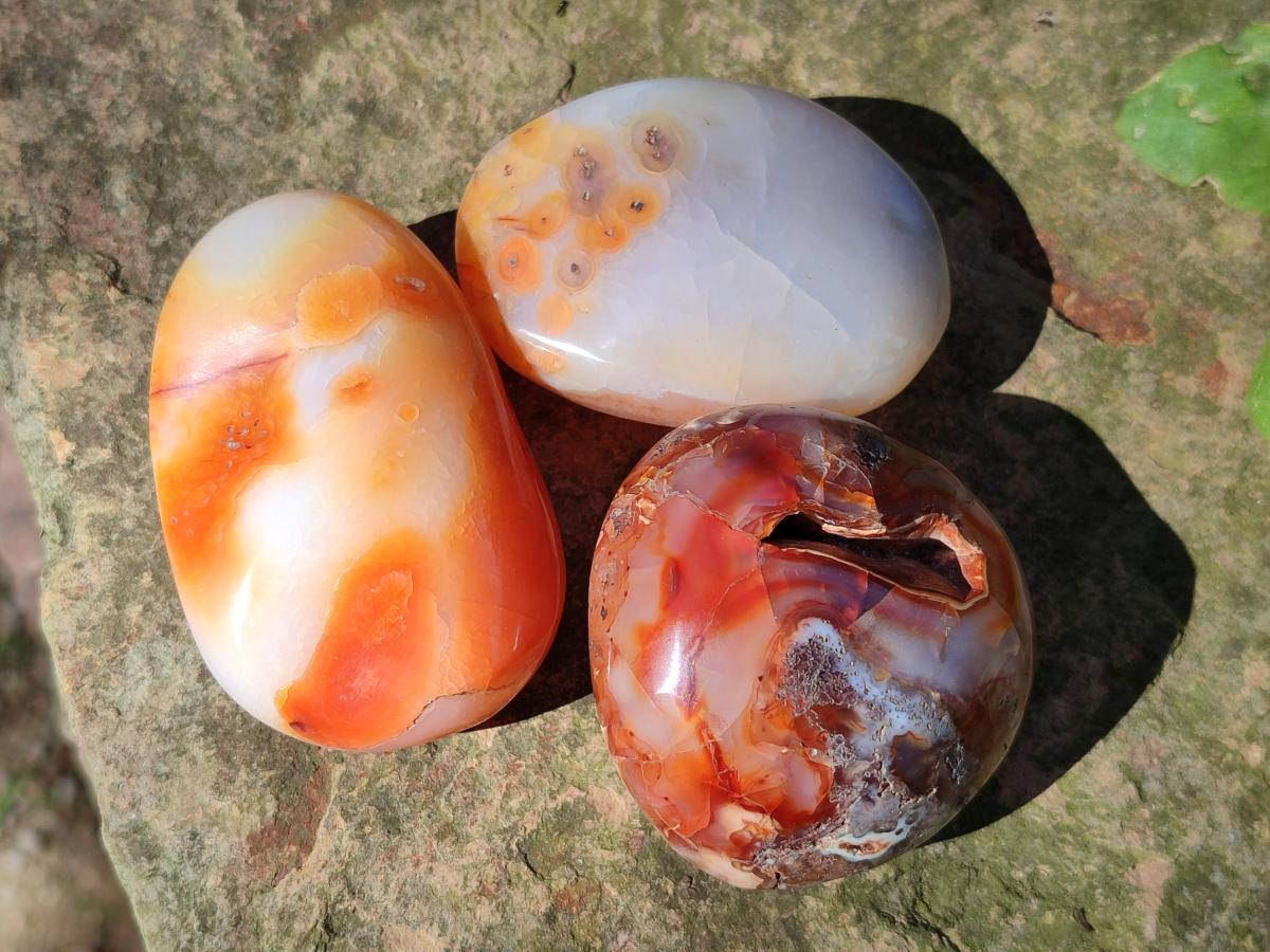 Polished Carnelian Agate Gemstone Galets x 24 From Madagascar - Toprock Gemstones and Minerals 
