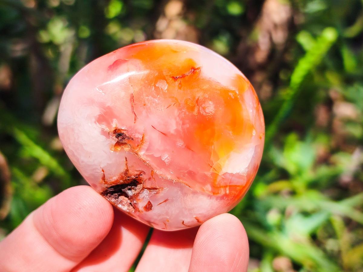 Polished Carnelian Agate Gemstone Galets x 24 From Madagascar - Toprock Gemstones and Minerals 
