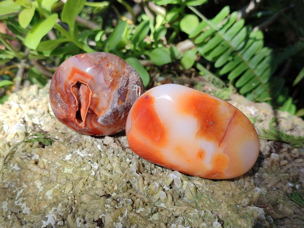 Polished Carnelian Agate Gemstone Galets x 24 From Madagascar - Toprock Gemstones and Minerals 