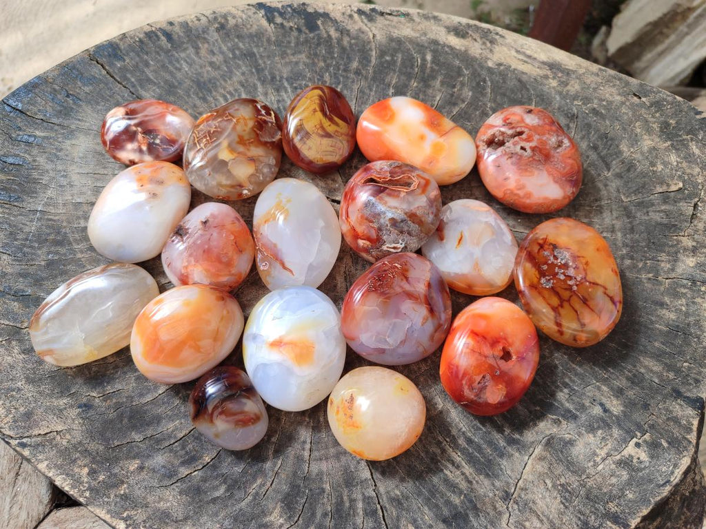 Polished Carnelian Agate Gemstone Galets x 24 From Madagascar - Toprock Gemstones and Minerals 