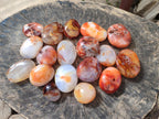 Polished Carnelian Agate Gemstone Galets x 24 From Madagascar - Toprock Gemstones and Minerals 