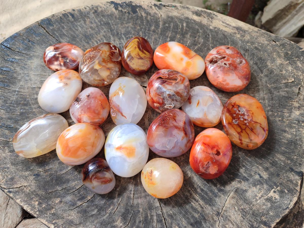 Polished Carnelian Agate Gemstone Galets x 24 From Madagascar - Toprock Gemstones and Minerals 