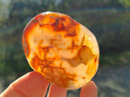 Polished Carnelian Agate Gemstone Galets x 24 From Madagascar - Toprock Gemstones and Minerals 
