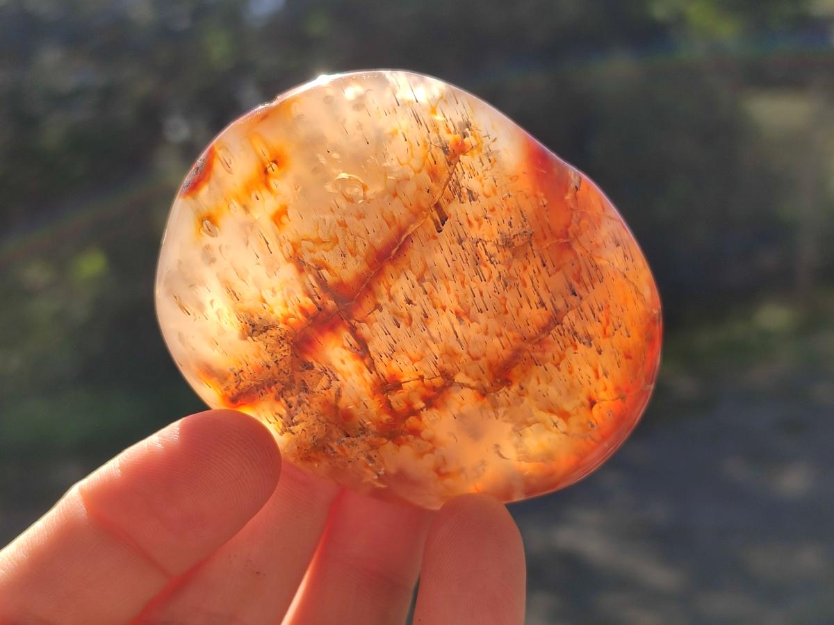 Polished Carnelian Agate Gemstone Galets x 24 From Madagascar - Toprock Gemstones and Minerals 