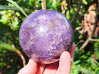 Polished Lepidolite Spheres x 2 From Ambatondrazaka, Madagascar - Toprock Gemstones and Minerals 