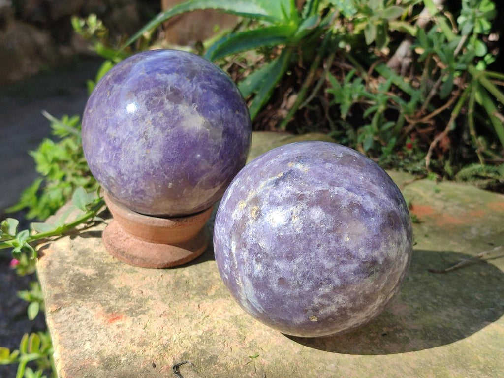 Polished Lepidolite Spheres x 2 From Ambatondrazaka, Madagascar - Toprock Gemstones and Minerals 