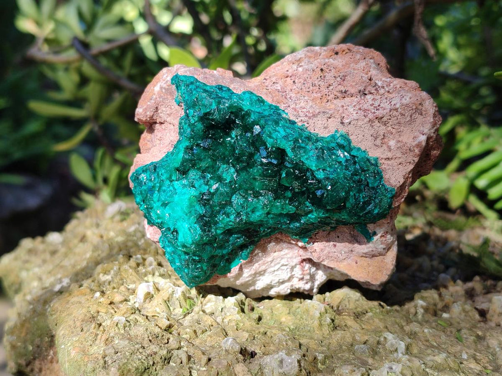 Natural Cabinet Dioptase on Dolomite Specimens x 2 From Likasi, Congo - Toprock Gemstones and Minerals 