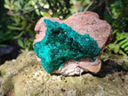 Natural Cabinet Dioptase on Dolomite Specimens x 2 From Likasi, Congo - Toprock Gemstones and Minerals 