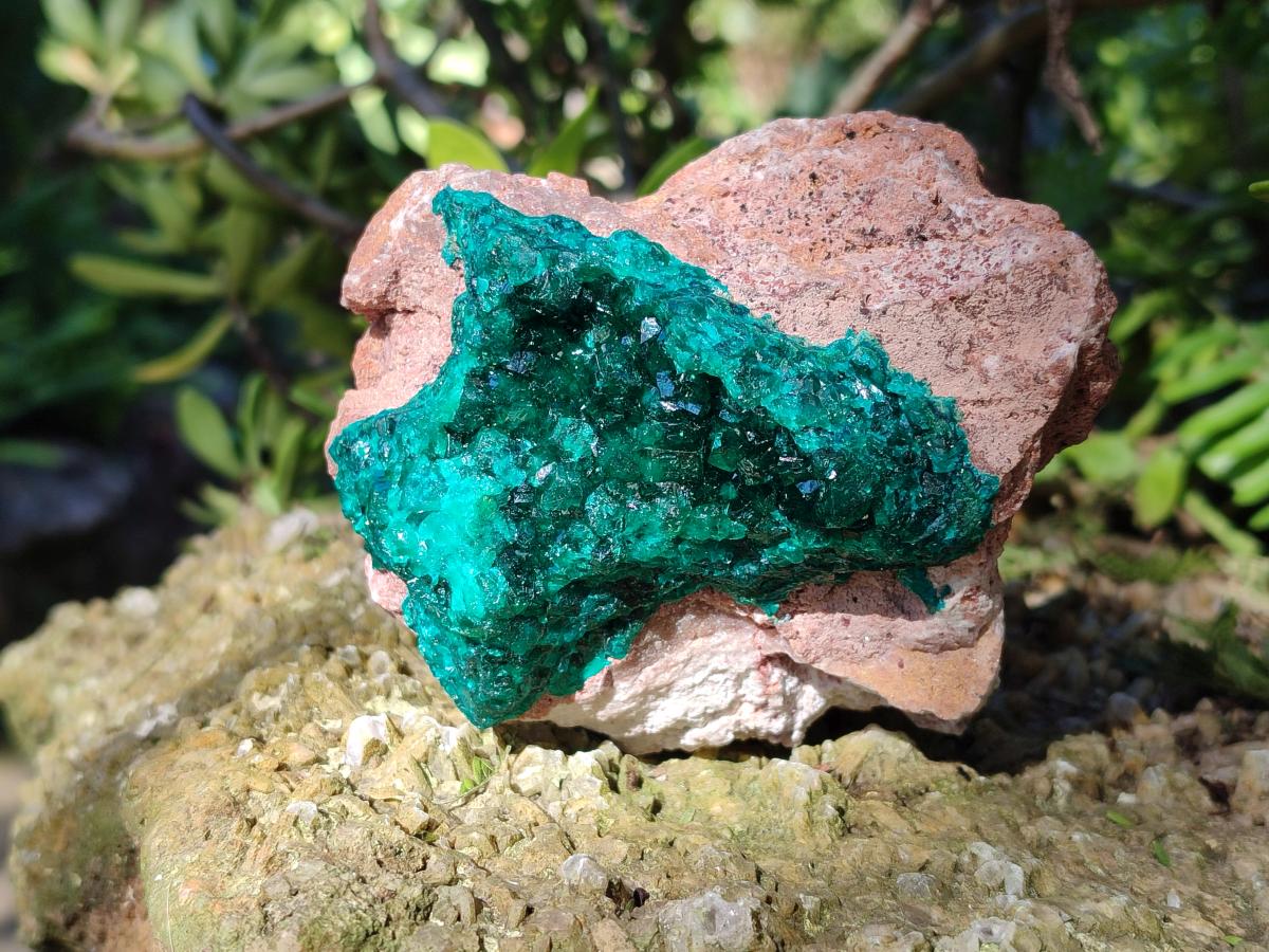 Natural Cabinet Dioptase on Dolomite Specimens x 2 From Likasi, Congo - Toprock Gemstones and Minerals 