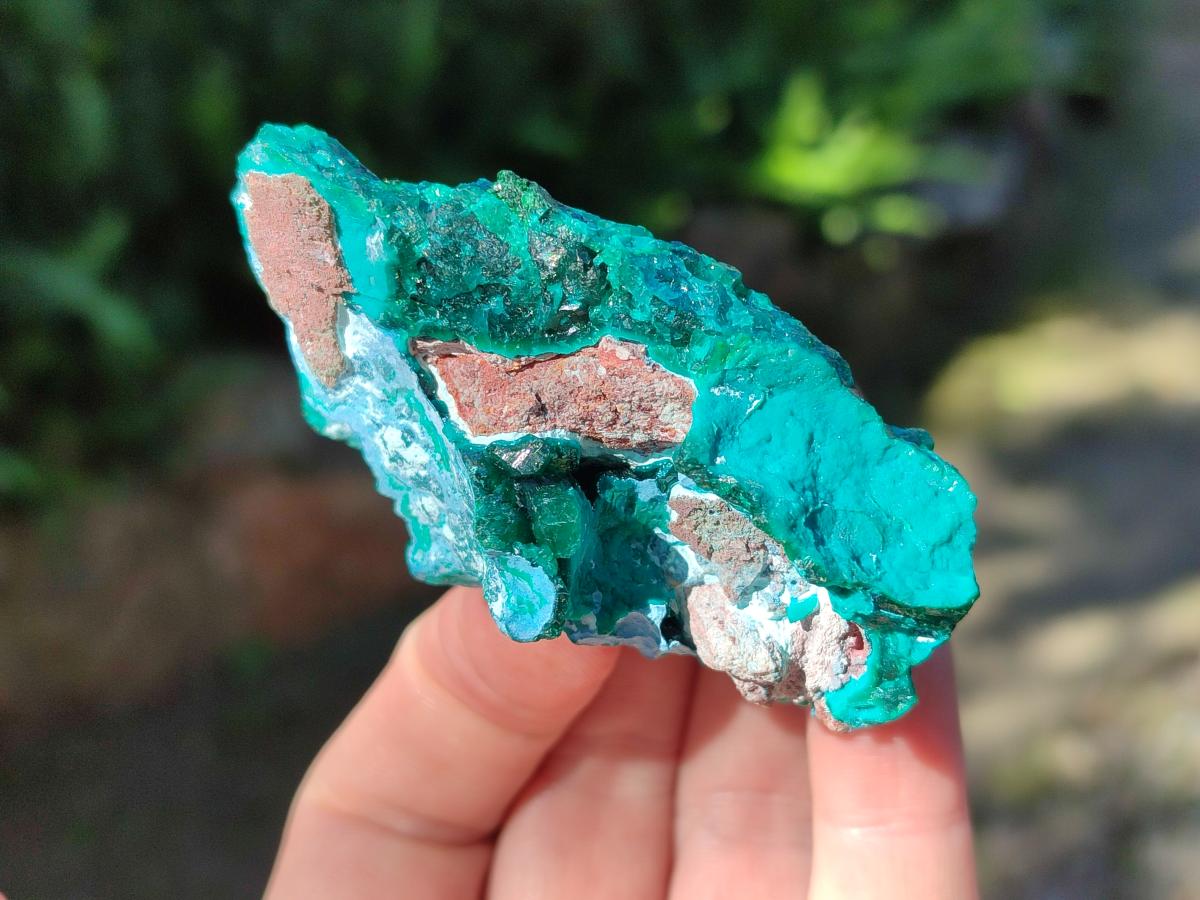 Natural Cabinet Dioptase on Dolomite Specimens x 2 From Likasi, Congo - Toprock Gemstones and Minerals 