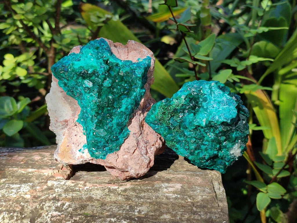 Natural Cabinet Dioptase on Dolomite Specimens x 2 From Likasi, Congo - Toprock Gemstones and Minerals 